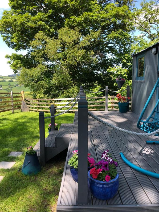 The Peacock Shepherds Hut At Hafoty Boeth Корвэн Экстерьер фото