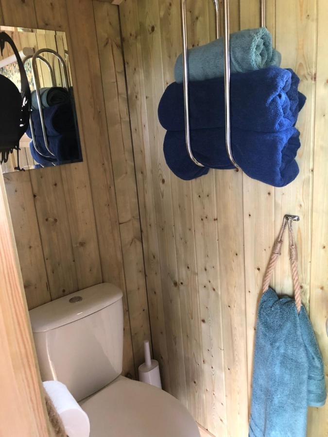 The Peacock Shepherds Hut At Hafoty Boeth Корвэн Экстерьер фото
