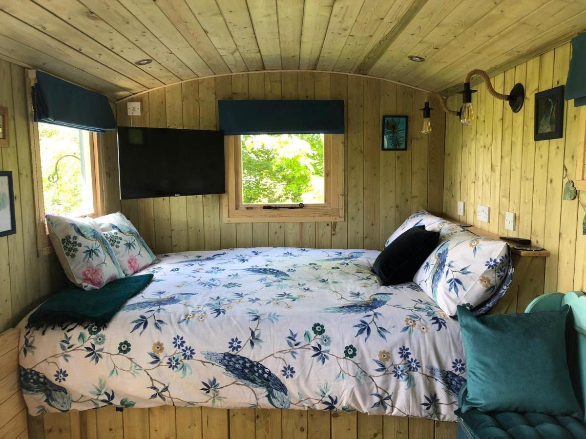 The Peacock Shepherds Hut At Hafoty Boeth Корвэн Экстерьер фото