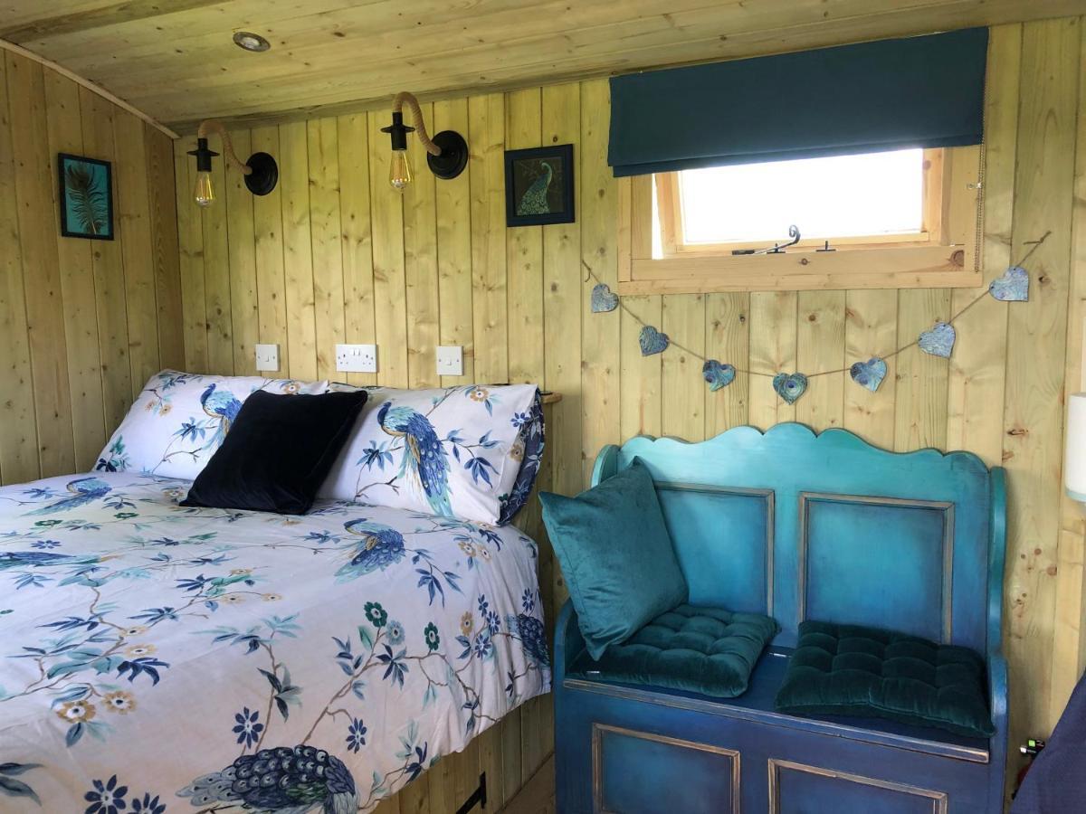 The Peacock Shepherds Hut At Hafoty Boeth Корвэн Экстерьер фото