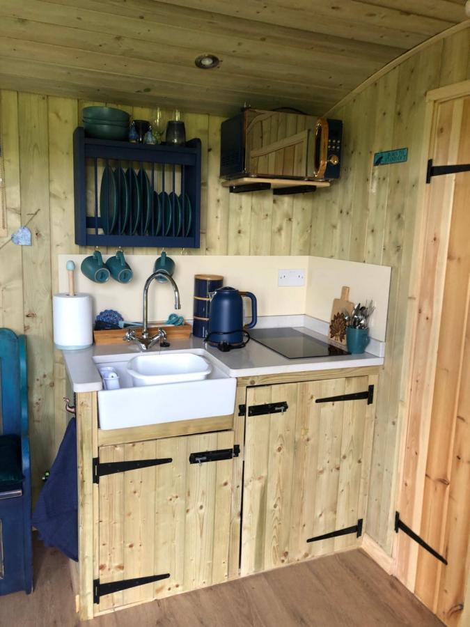 The Peacock Shepherds Hut At Hafoty Boeth Корвэн Экстерьер фото