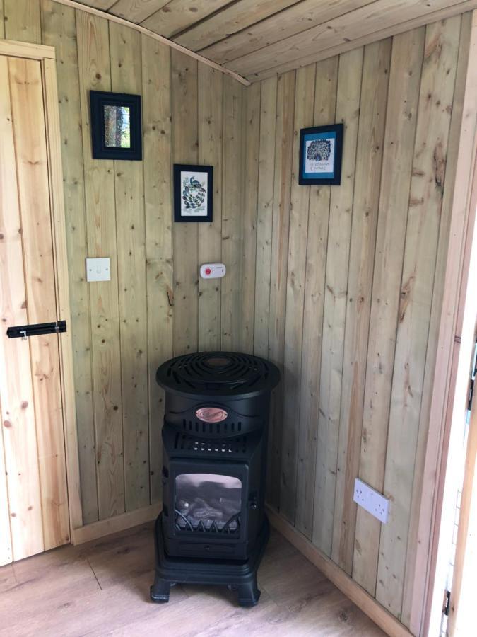 The Peacock Shepherds Hut At Hafoty Boeth Корвэн Экстерьер фото